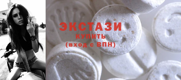 ECSTASY Бородино