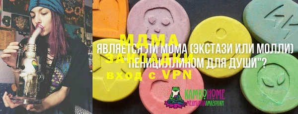 индика Белоозёрский